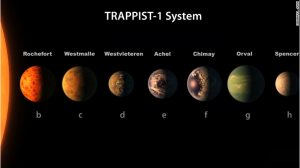 Trappist-1 System