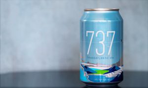 Icelandair releases special-edition 737 Transatlantic Icelandair Pale Ale to mark the first new Boeing 737 MAX 8 plane into its fleet._